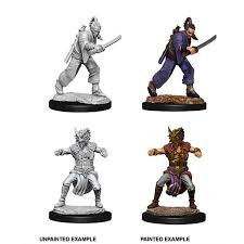 D&D Nolzur's Marvelous Miniatures: Male Human Monk